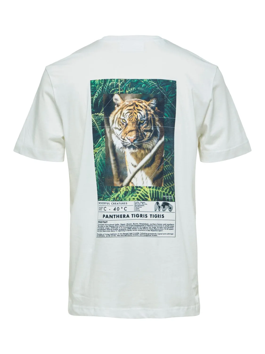 T-SHIRT - SELECTED - 16084672 JOEY TIGER